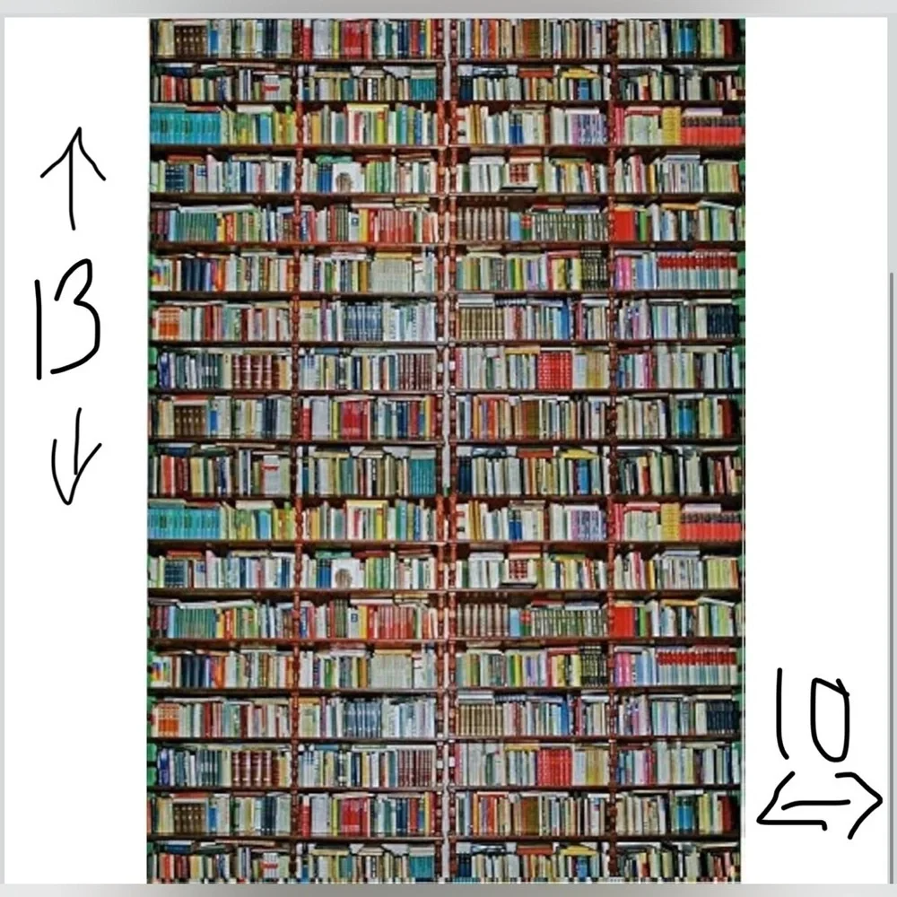 10 Count - 10x13 Polymailers (BOOKS)